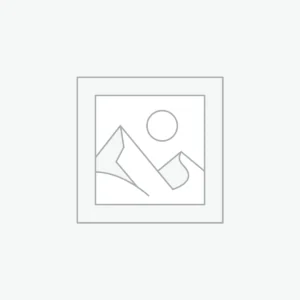 Porter-Cable Sander — Needs Repair